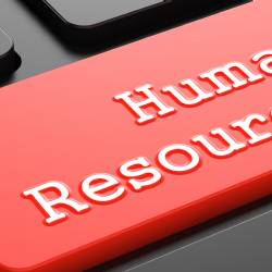 İnsan Kaynakları